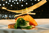 Bacalao Bacalao