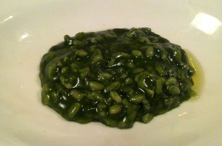Arroz de plancton Arroz de plancton