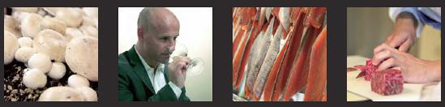 Experimenta Experimenta
