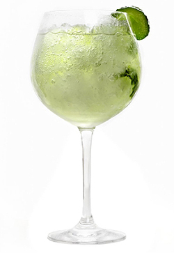 Un Gin Tonic Un Gin Tonic