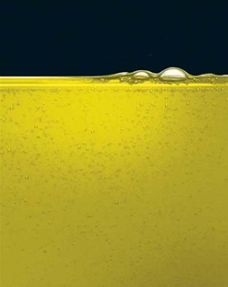 Aceite de oliva Cortijo de Suerte Alta, mejor aceite ecológico de 2013 0