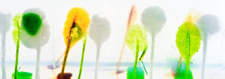 “El silencio del vacío. Visiones de un mundo comestible” “El silencio del vacío. Visiones de un mundo comestible”