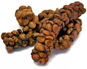 El luwak justo después de ser recolectado El luwak justo después de ser recolectado
