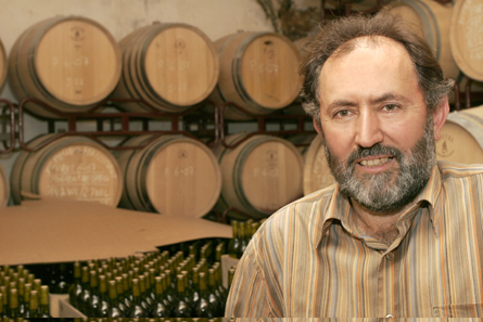 Miquel Gelabert Miquel Gelabert