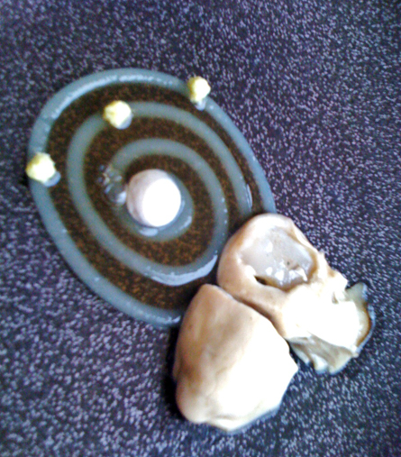 Ostra con cítricos Hasta el culo Tour (3) 4