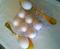 ¿El huevo o la gallina? Hasta el culo Tour (5) 0