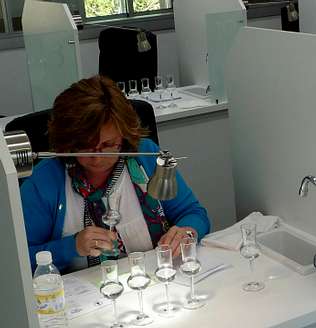 Mercedes González, presidenta de Gallaecia, participará en el salón Las mujeres toman el mando en el Salón del Vino de Galicia – Redacción 0
