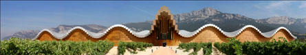 La espectacular bodega Ysios Bodegas Ysios, en el Moma de San Francisco 0
