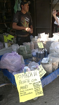 Comprando peyote Pasión mexicana 16