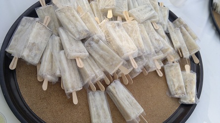 Paletas de flor de cactus Pasión mexicana 10