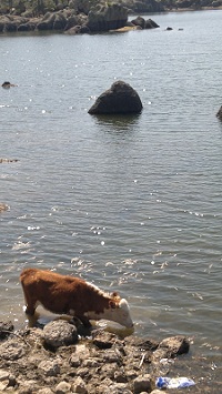 Un lago irreal Pasíon mexicana 1