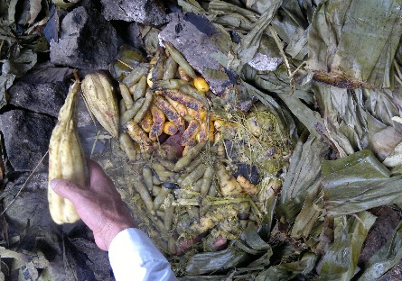 La pachamanca Comiendo Perú (y 4) 6