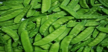 Mange-tout fin L’Atelier cordobés 2