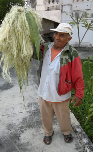 La fibra del henequén. Pasión mexicana (1) 1