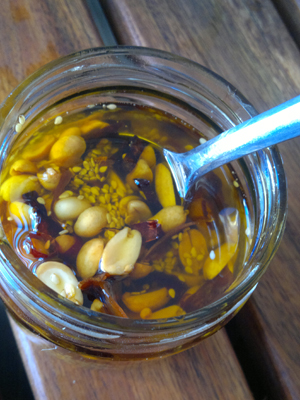 Salsa de chile, cacahuate y ajonjolí. Pasión mexicana (1) 2