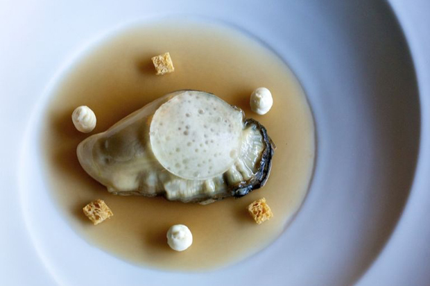 Ostra al natural con leche cruda de oveja, esencia de cordero y peso de hierbas, de Paco Morales / Juan Carlos Francés Los 10 mejores platos del año de “Vino + Gastronomía” 0