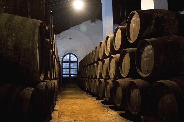 De Jerez a Sanlúcar a través de los vinos generosos 2