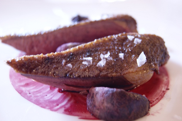 Pichón asado, ahumado y reposado con crema de yogurt y remolacha cocida a la sal. Paco Morales desembarca en Murcia 1