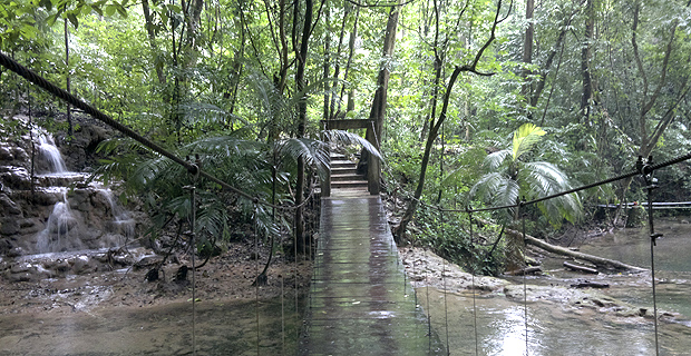 Un-paseo-por-la-selva Pasión mexicana (4 y 5) 12