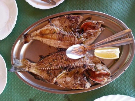 Borriquete plancha (La Reja).jpg Mediterranean Tour ’12 (y3) 3