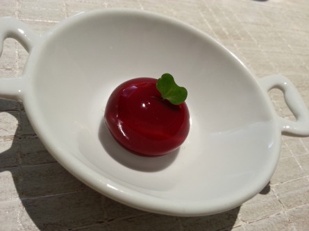 Mini babybel Madrid en mi Midori 1
