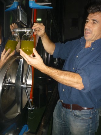 El Primero Así se consigue el aceite de oliva virgen extra 0