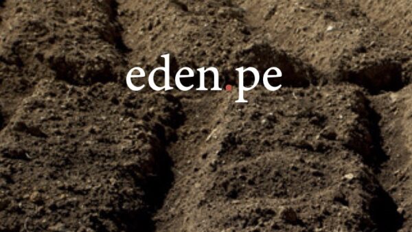 eden.pe