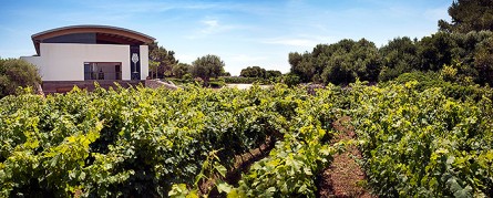 El queso y el vino de Menorca se dan a conocer por España 2