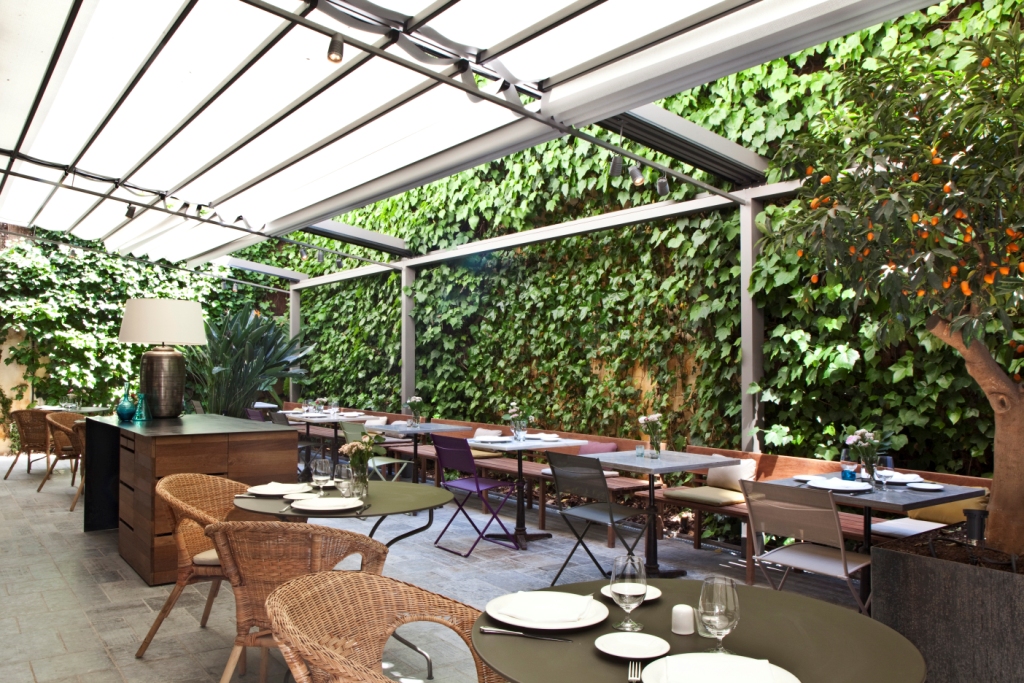 Terraza VI