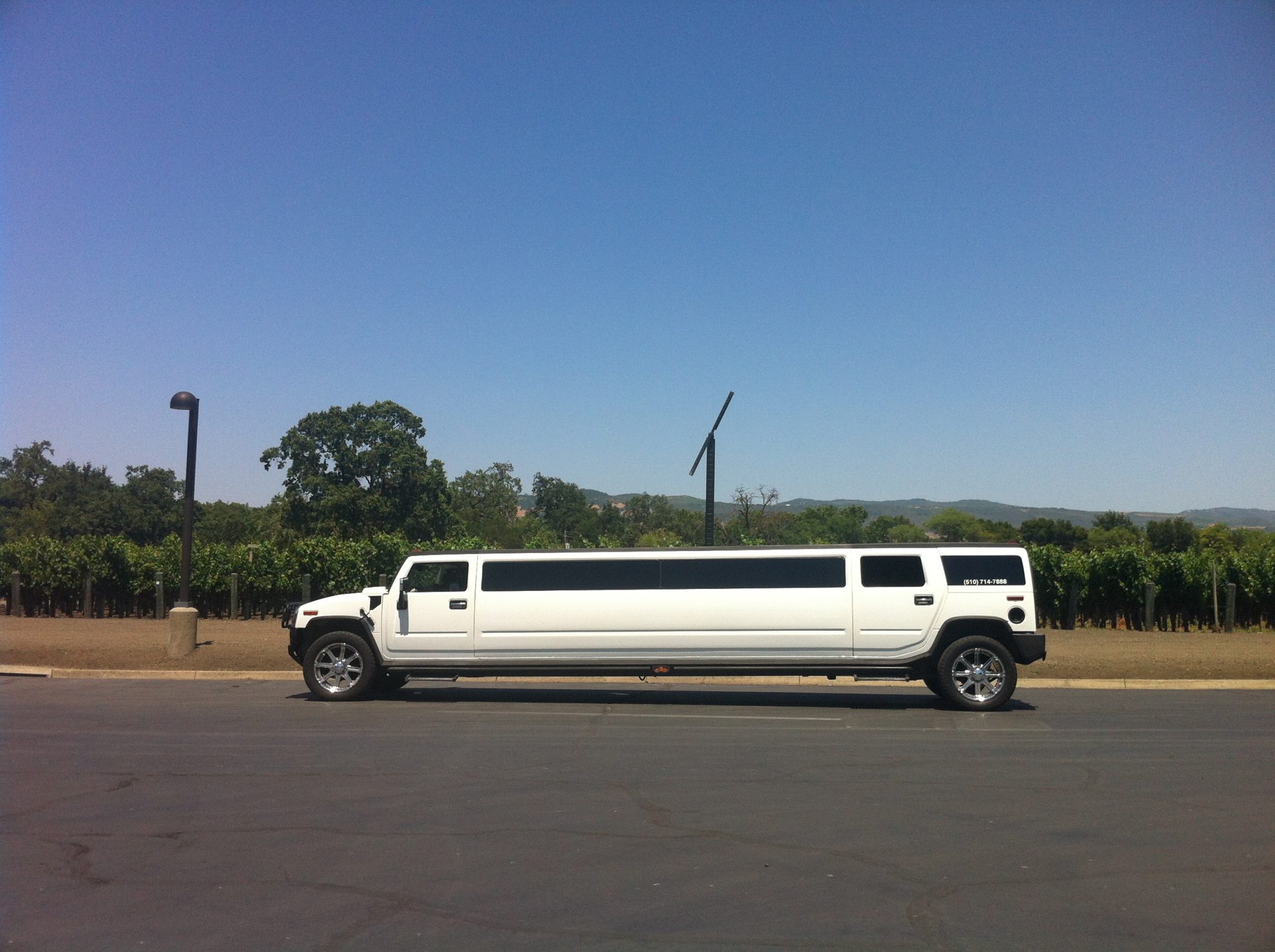 Imagen habitual en Napa Valley (3)