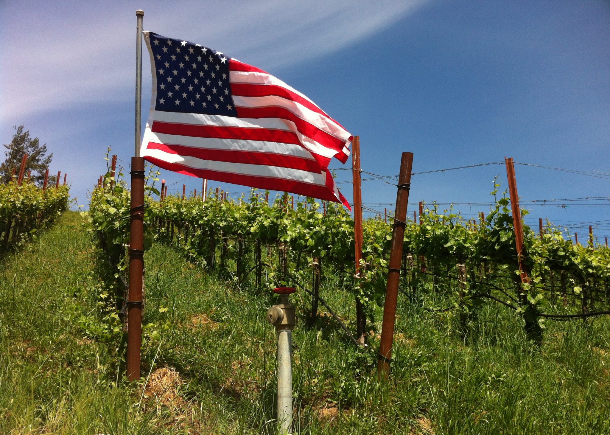vino estados unidos