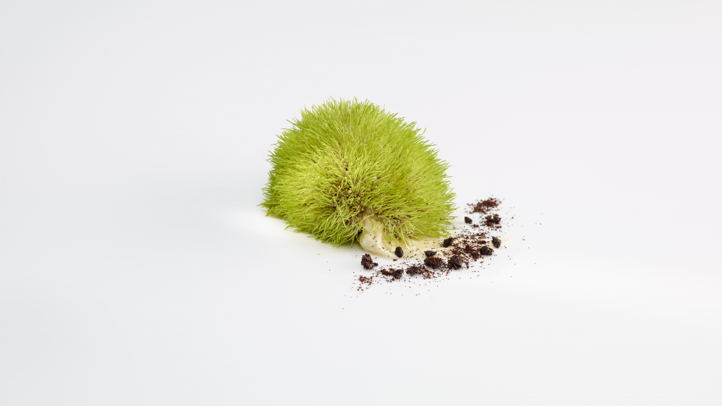 Mugaritz 2
