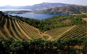 detalle_FincaTierra