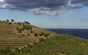 la_terra_emporda_2