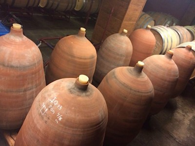 Tinajas de la Bodega Rendé-Masdeu. Tinajas de la Bodega Rendé-Masdeu.