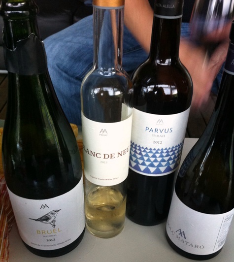 Cata de vinos en Alta Alella.