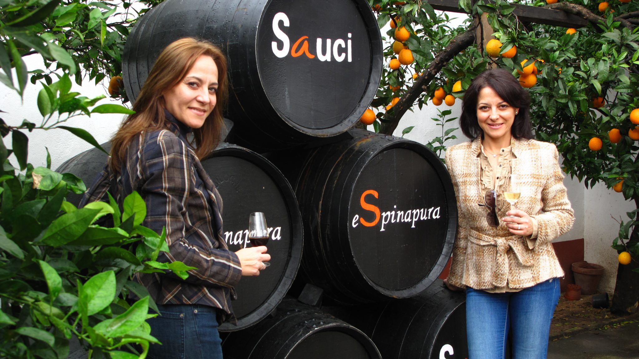 4_Sauci