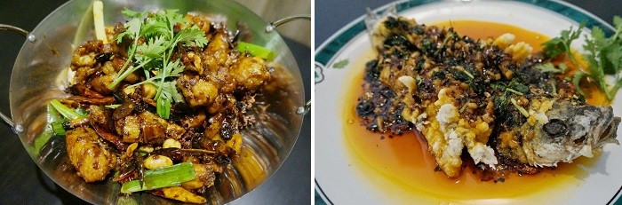 El tremendo pollo de Kung Fu Y LA LUBINA HEAVY DE kUNG fU