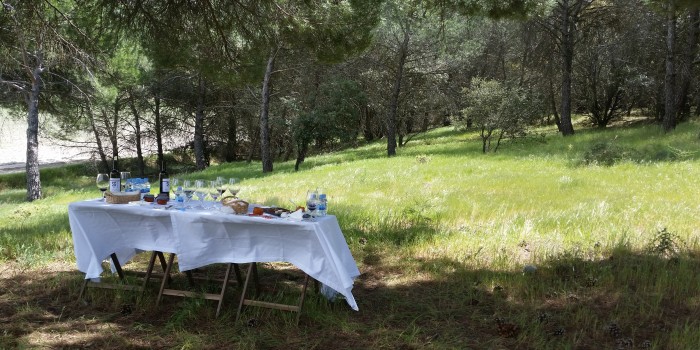 Picnic en la finca