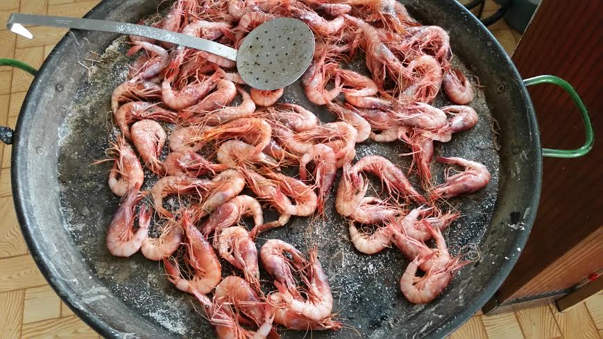 gambas