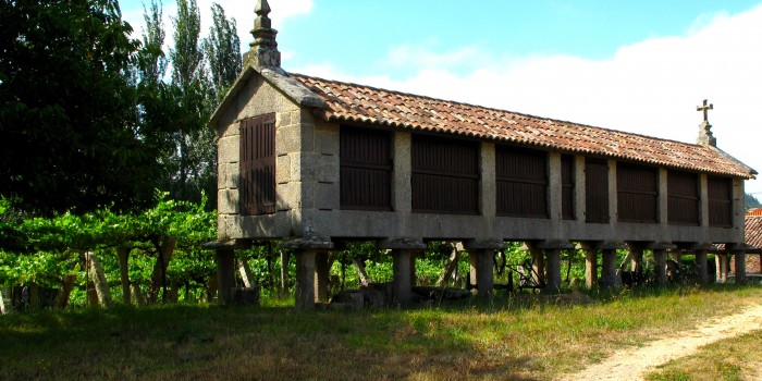 Vinedo y horreo tradicional en Bodegas Zarate