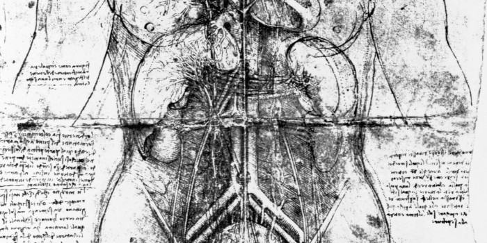 before 1519 --- Drawing of an by Leonardo da Vinci --- Image by © Bettmann/CORBIS