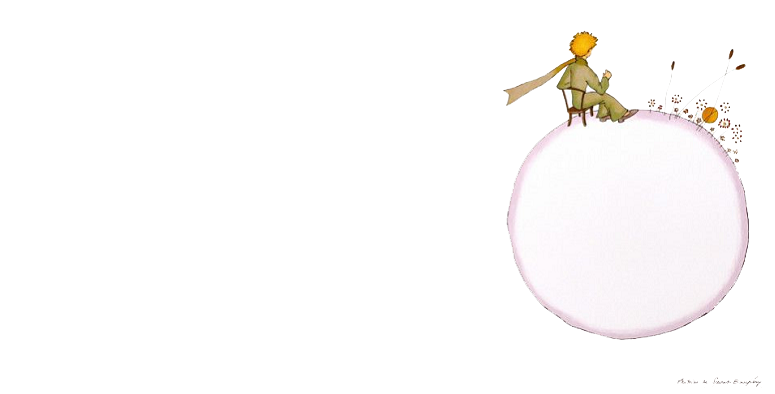petitprince copia