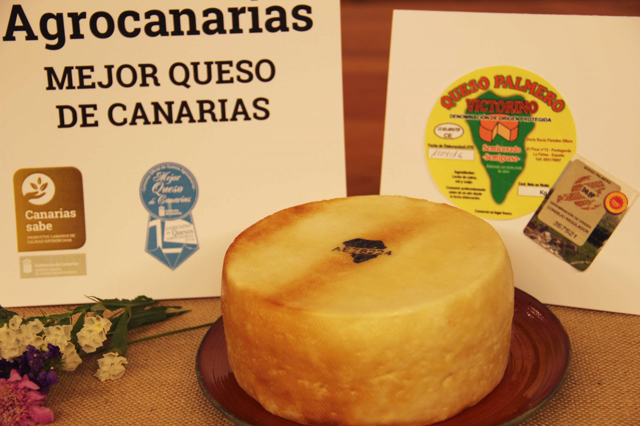 El Queso Palmero ganador del concurso. Foto: Francisco Belín