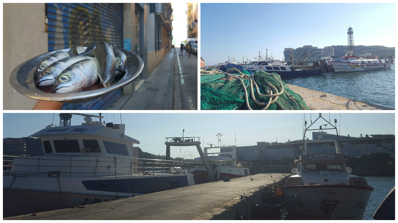 Barceloneta, producto, historia, puerto. Foto: Carmen Alcaraz del Blanco