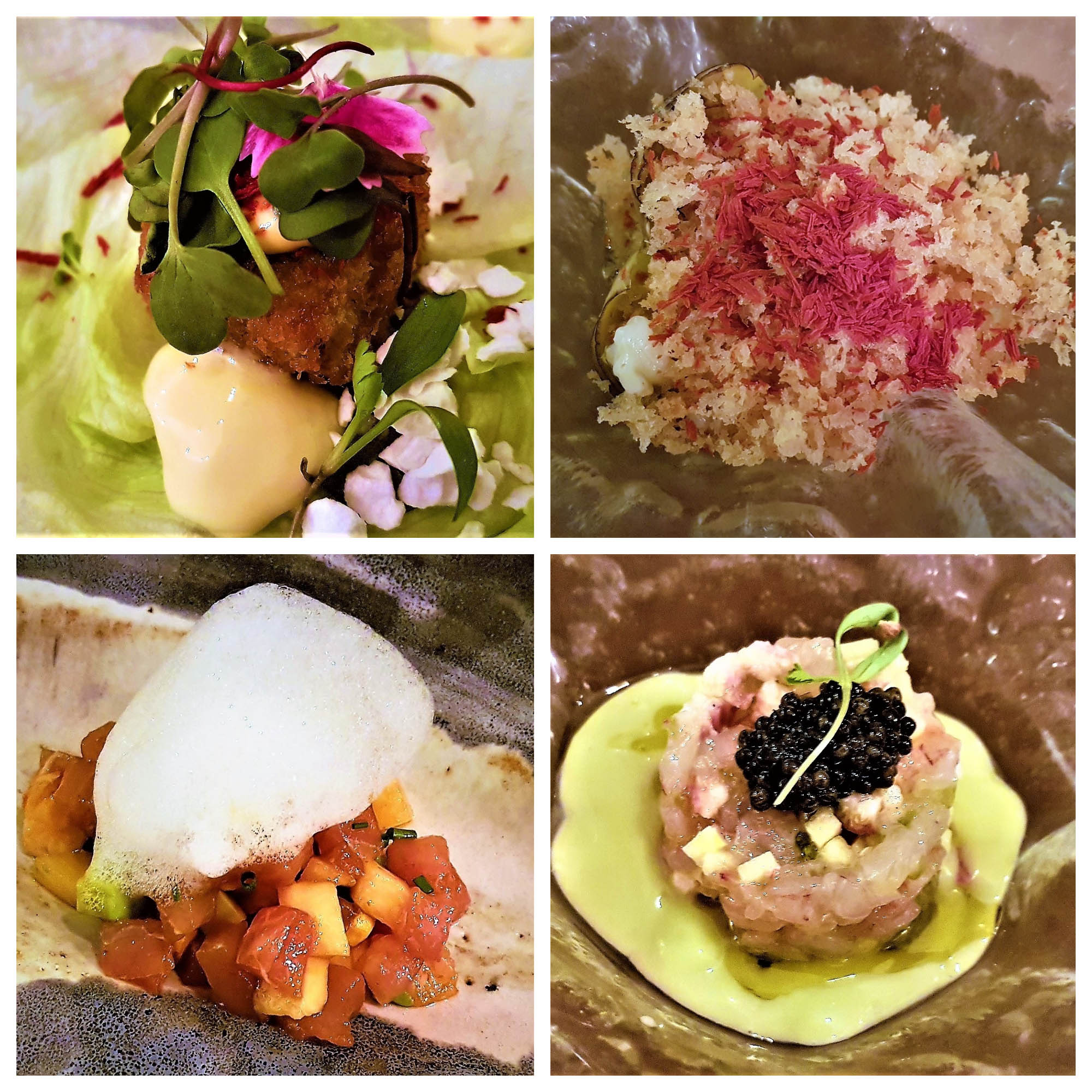 Saam. Alcachofas. Poke. Tartare. Qué Leche. Las palmas. Gran Canaria. Islas Canarias. Fotos: Xavier Agulló.