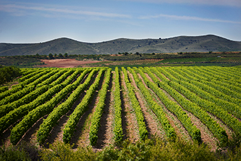 rioja alta