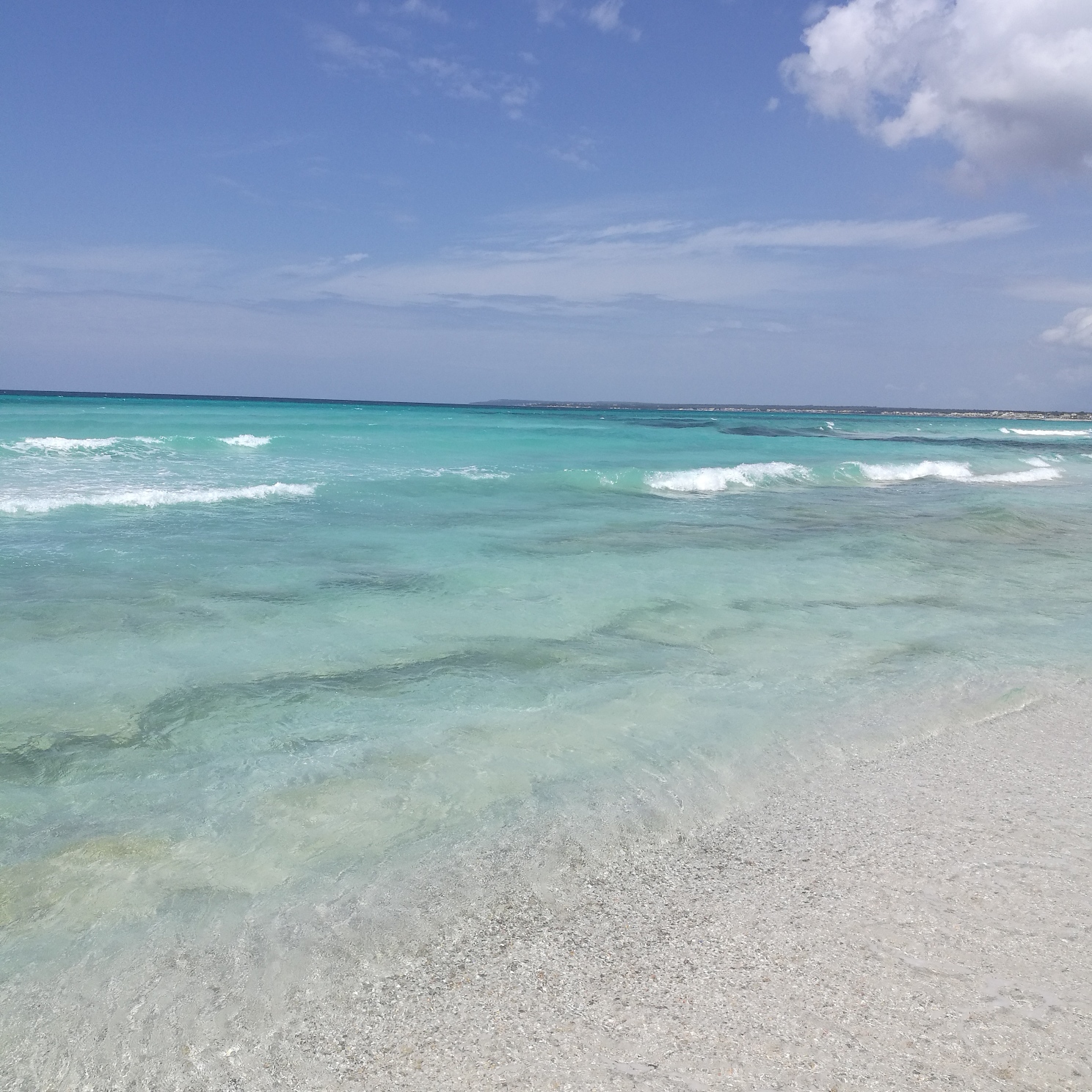 Del mar que baña la costa de Es Trenc se obtiene de manera natural la flor de sal de estas salinas