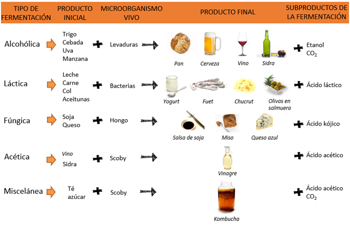 Fermentados, ¿nuevo? producto 2