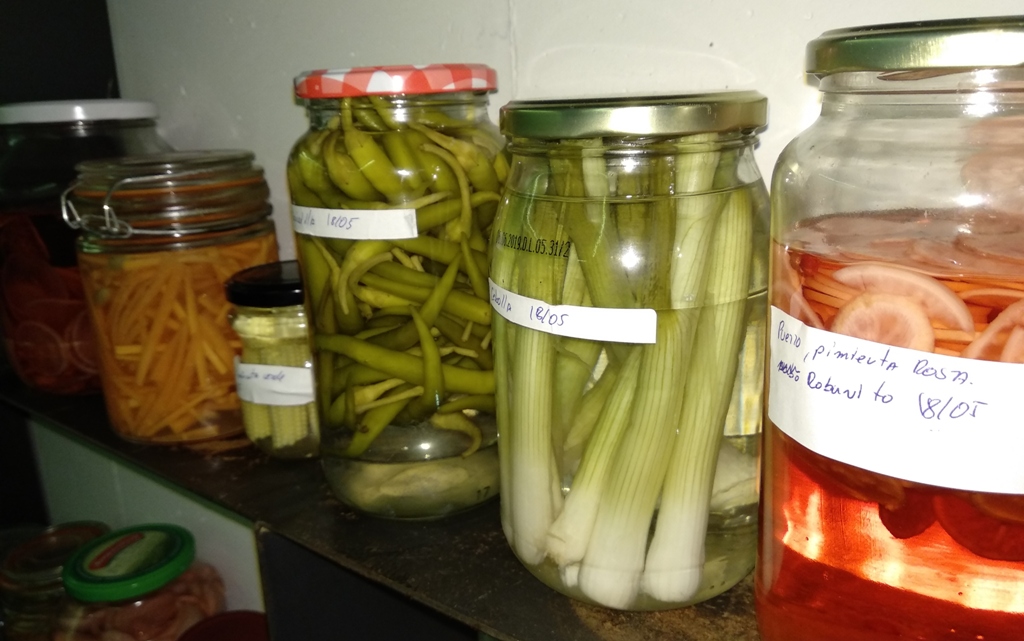 Fermentados y encurtidos